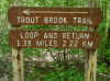 Trailhead leading downstream to the split of the forks