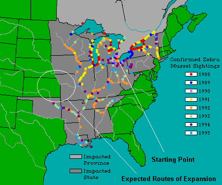 zebra2.gif (12721 bytes)